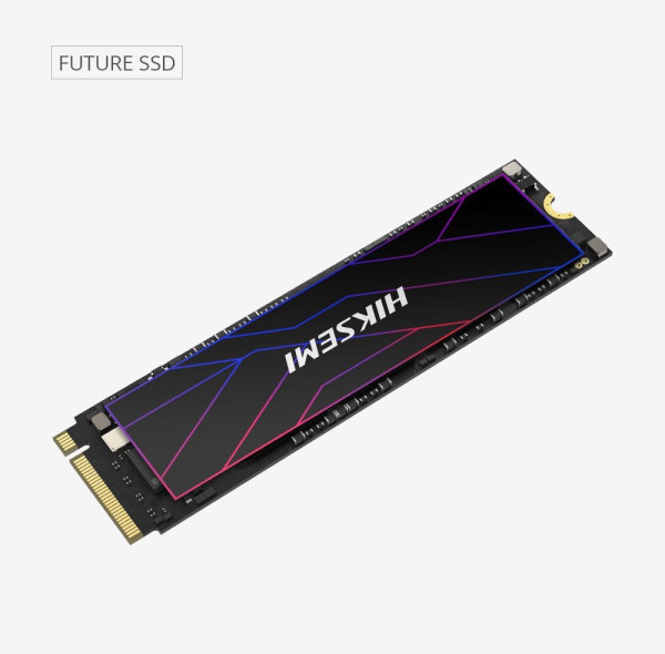 HIK Semi HIKSEMI SSD FUTURE 1024GB, M.2 2280, PCIe Gen4x4, R7450/W6600